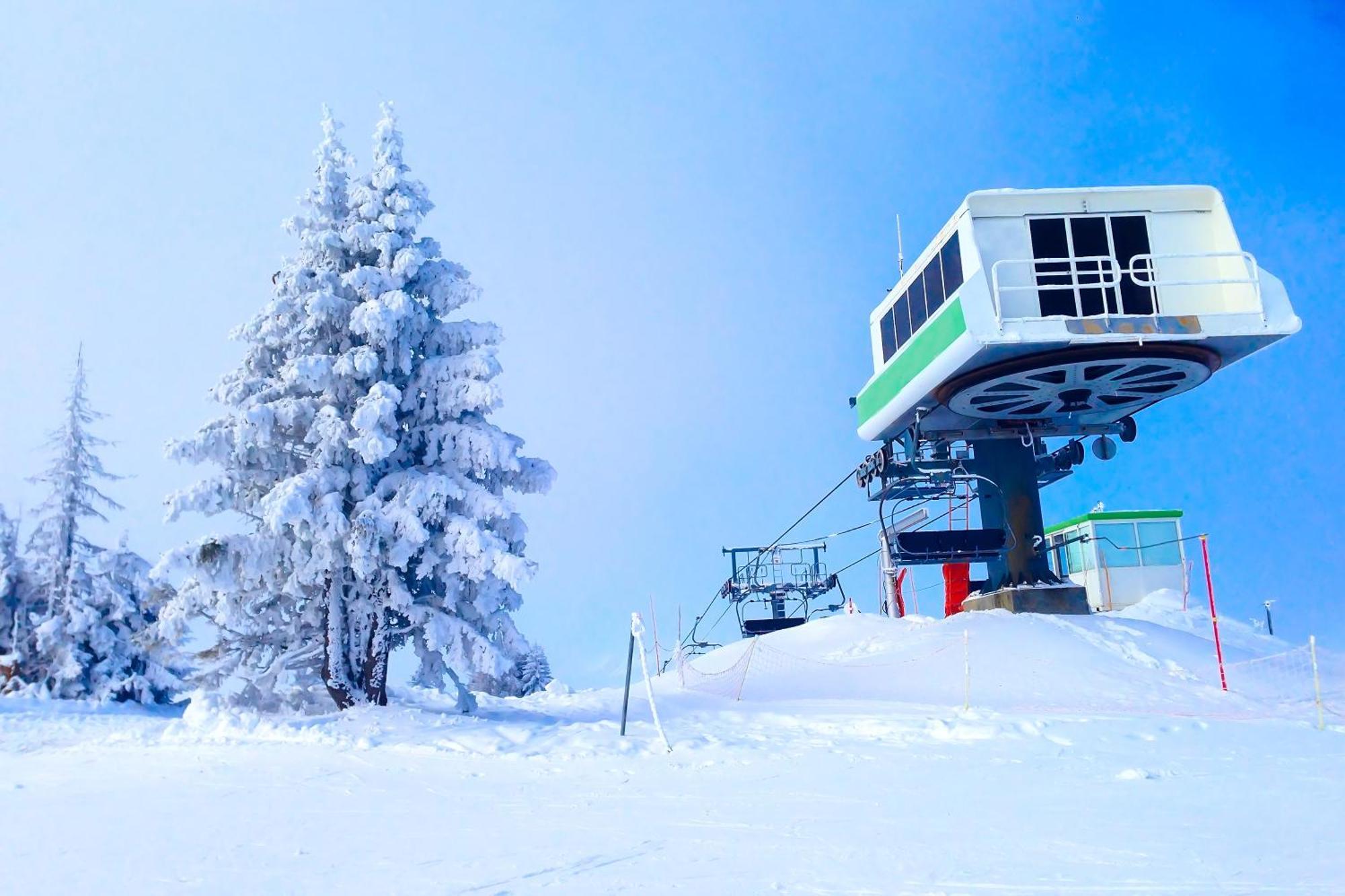 Appartement Anaite 15 - Happy Rentals Les Houches Esterno foto